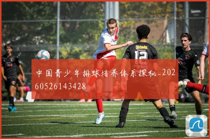 中国青少年排球培养体系探秘_20260526143428