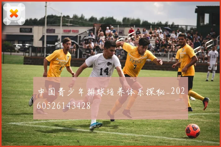 中国青少年排球培养体系探秘_20260526143428